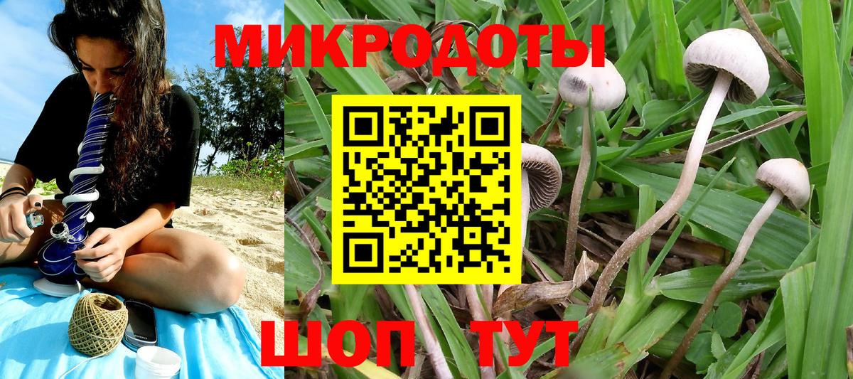 Брянск  ГАШИШ  A-PVP СОЛЬ   Вход с VPN  Мефедрон   МДМА  Канабис  COCAIN 
