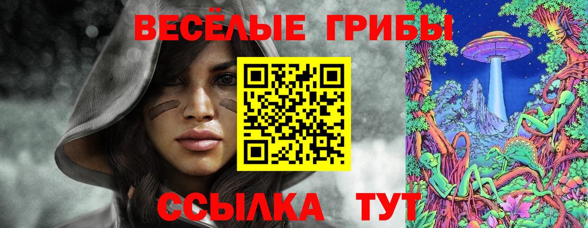 Брянск  что такое   Вход с VPN  Псилоцибиновые грибы мицелий 